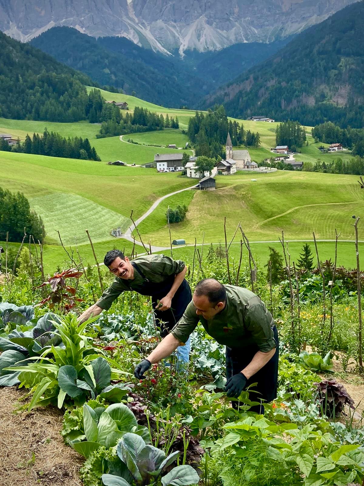 Zwei Bauern bei der Gemüseernte am Hang vor dem Tal