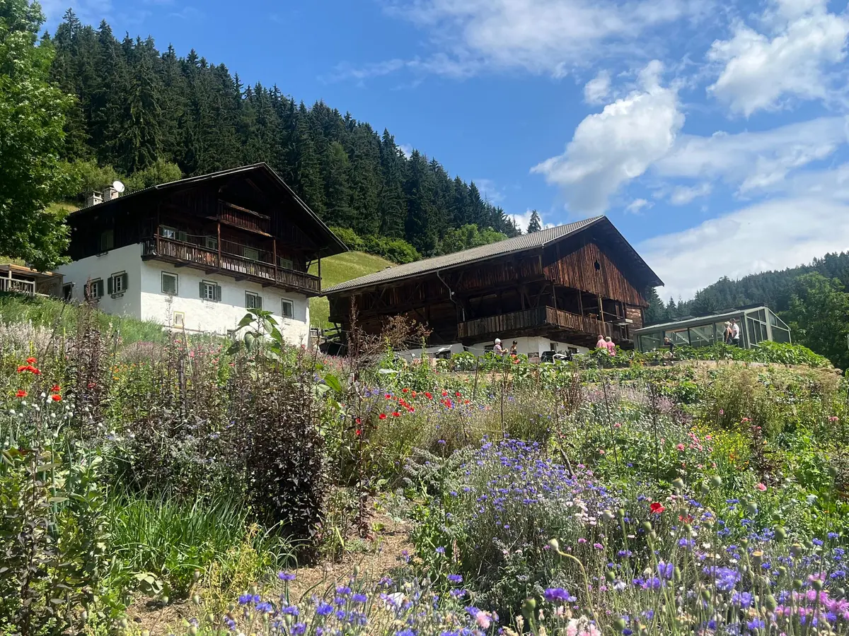 Altes Bauernhaus mit Wildblumenwiese davor